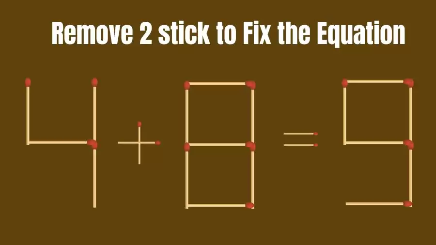 Brain Teaser IQ Challenge: 4+8=9 Remove 2 Matchsticks to Fix the Equation