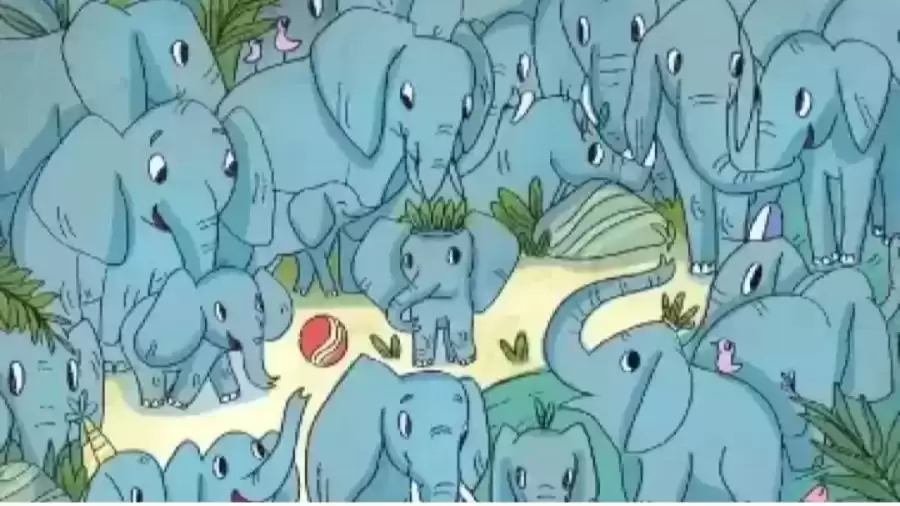 Optical Illusion Find and Seek: Can You Spot the Hidden Rhino Among the Elephants?