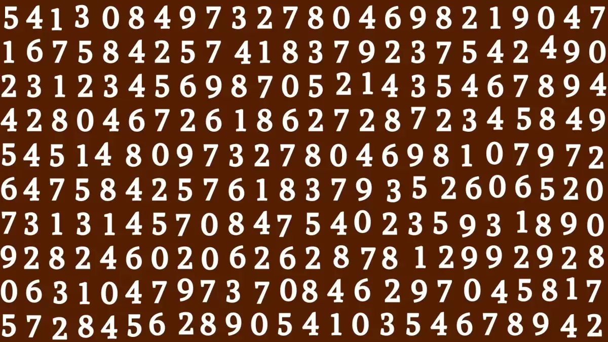 Observation Brain Challenge: If you have Hawk Eyes Find the Number 9217 in 15 Secs