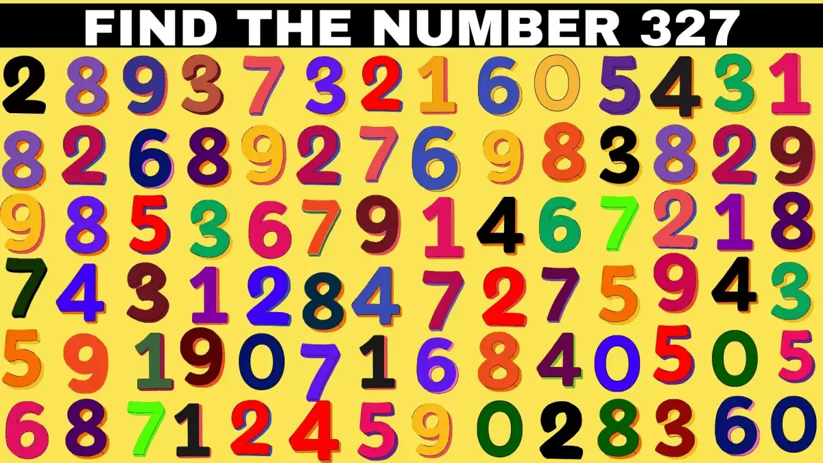 Test Your Lateral Thinking Skills Find the Number 327 Within 10 Seconds