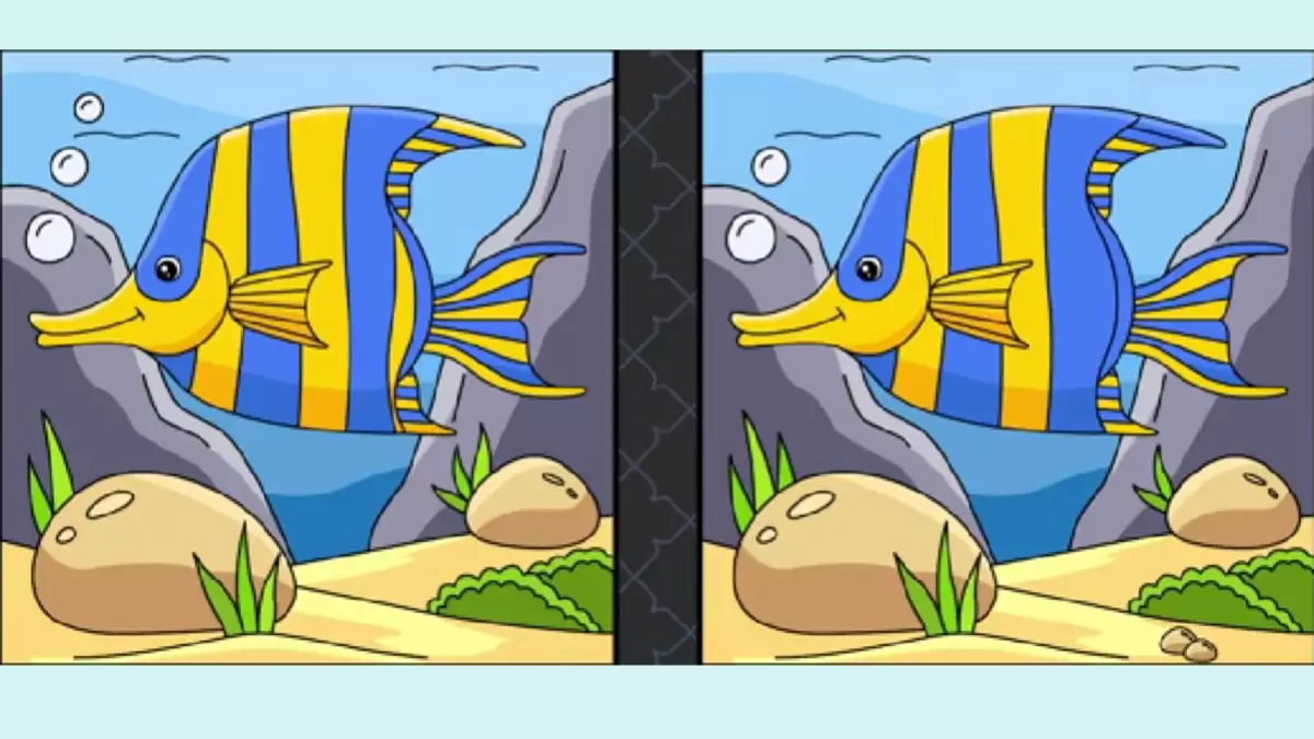 Spot the difference Game: Only a genius can find the 5 differences in less than 30 seconds!