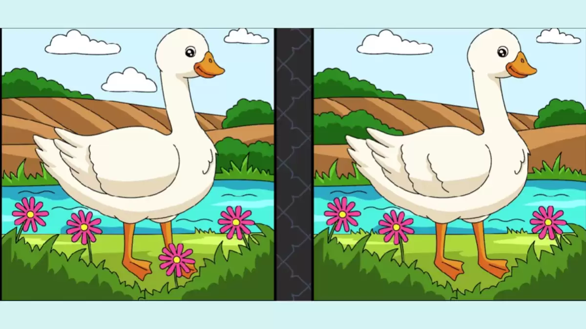 Brain Teaser Spot the Difference Puzzle: Can you Spot 3 Differences in these Pictures?