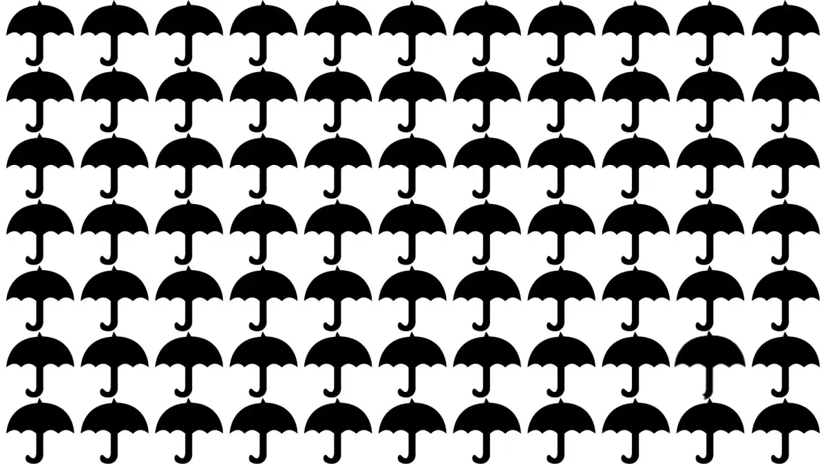 Can you Pick the Odd Umbrella in this Image in less than 10 Secs